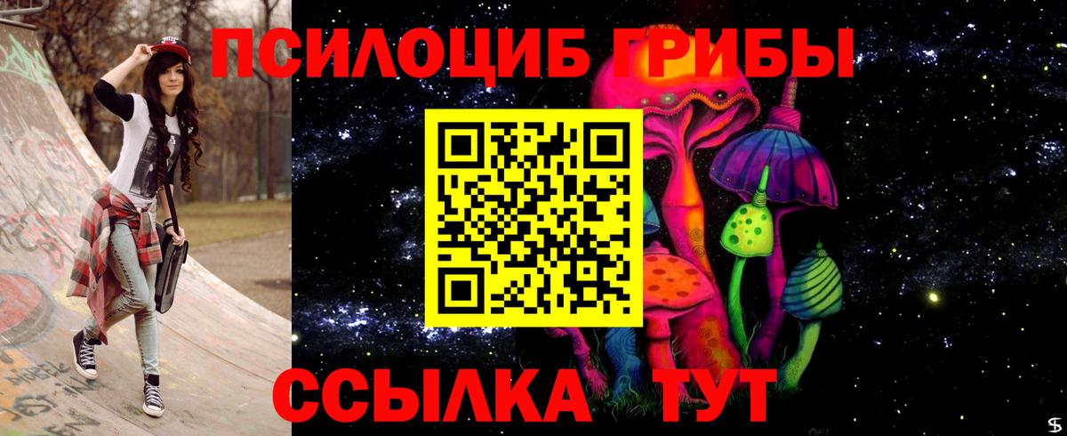 закладки  Псилоцибиновые грибы Cubensis  Вход с VPN  Ирбит 